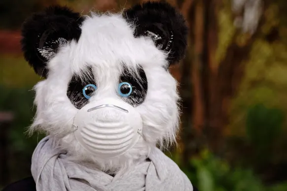 BitReels Casino Tacaíocht